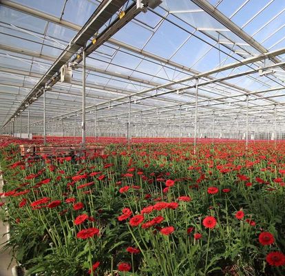 ベンロ様式 屋根 複層 プラスチックフィルム 水育種植システム 農業用