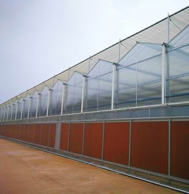ベンロ様式 屋根 複層 プラスチックフィルム 水育種植システム 農業用