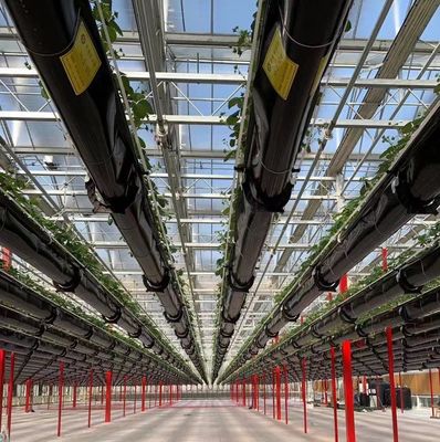 ベンロ様式 屋根 複層 プラスチックフィルム 水育種植システム 農業用
